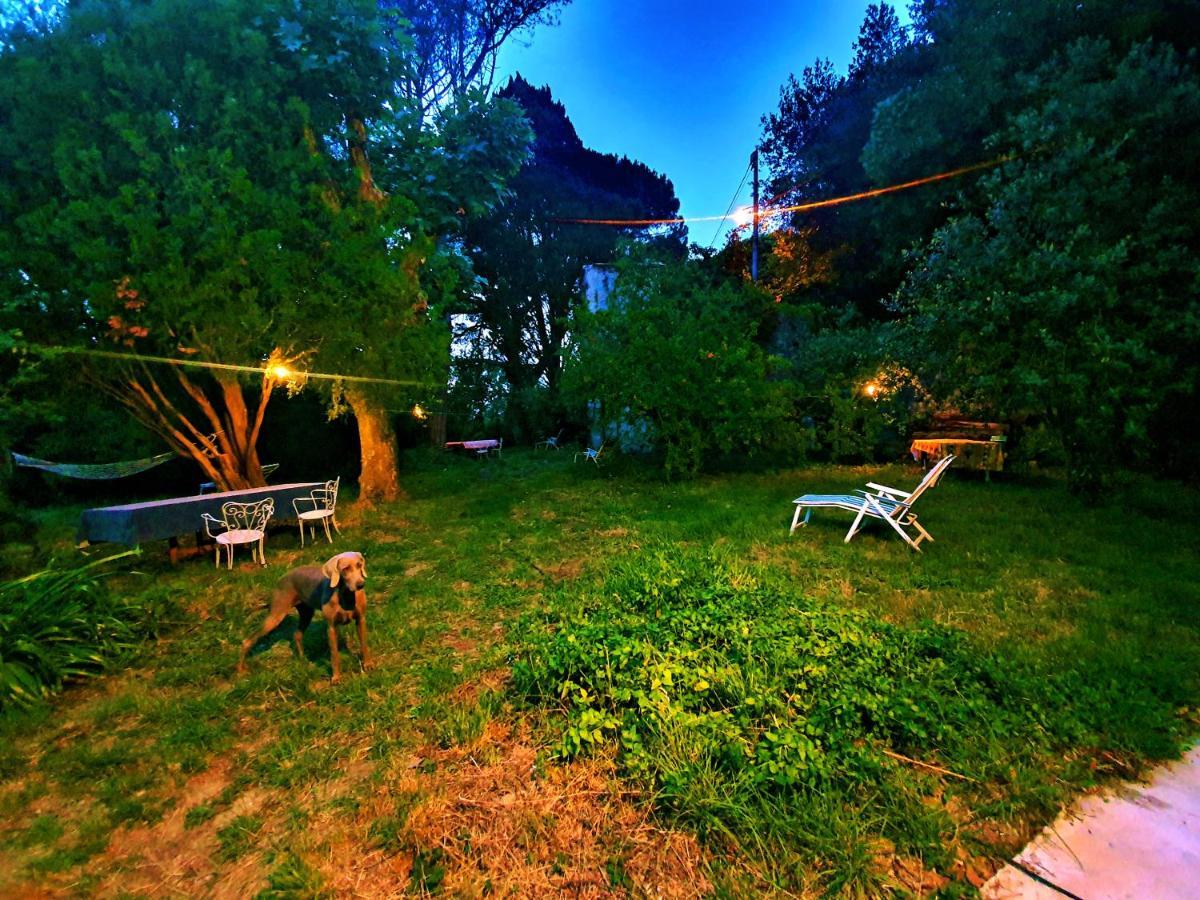 Villa De Benedetti Sarzana Exterior photo